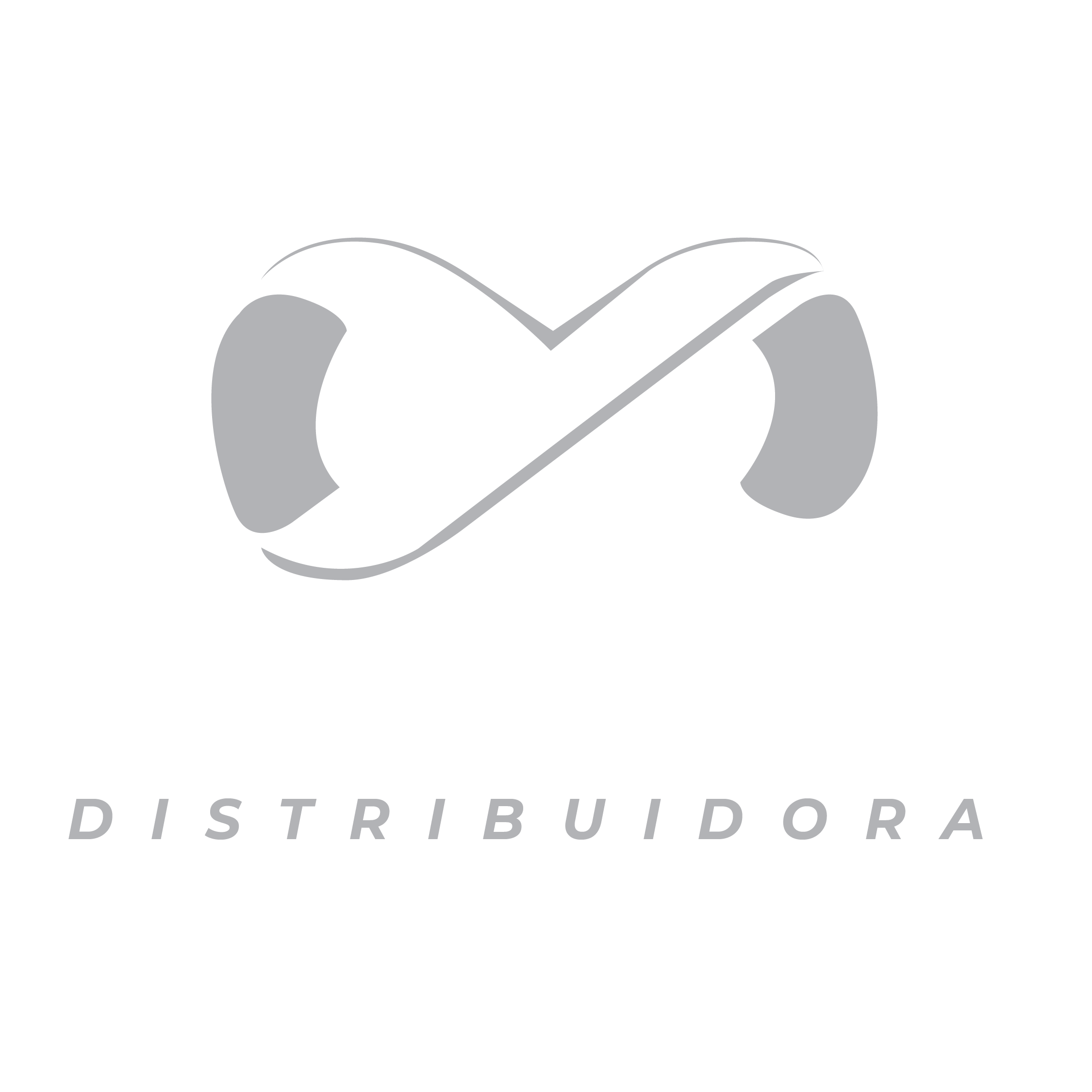 LOGO-Distribuidora-Nexus